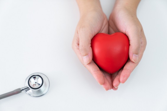 Cardiovascular Disease Primer | An In-Depth Look at 6 Common Cardiovascular Conditions and Their Causes