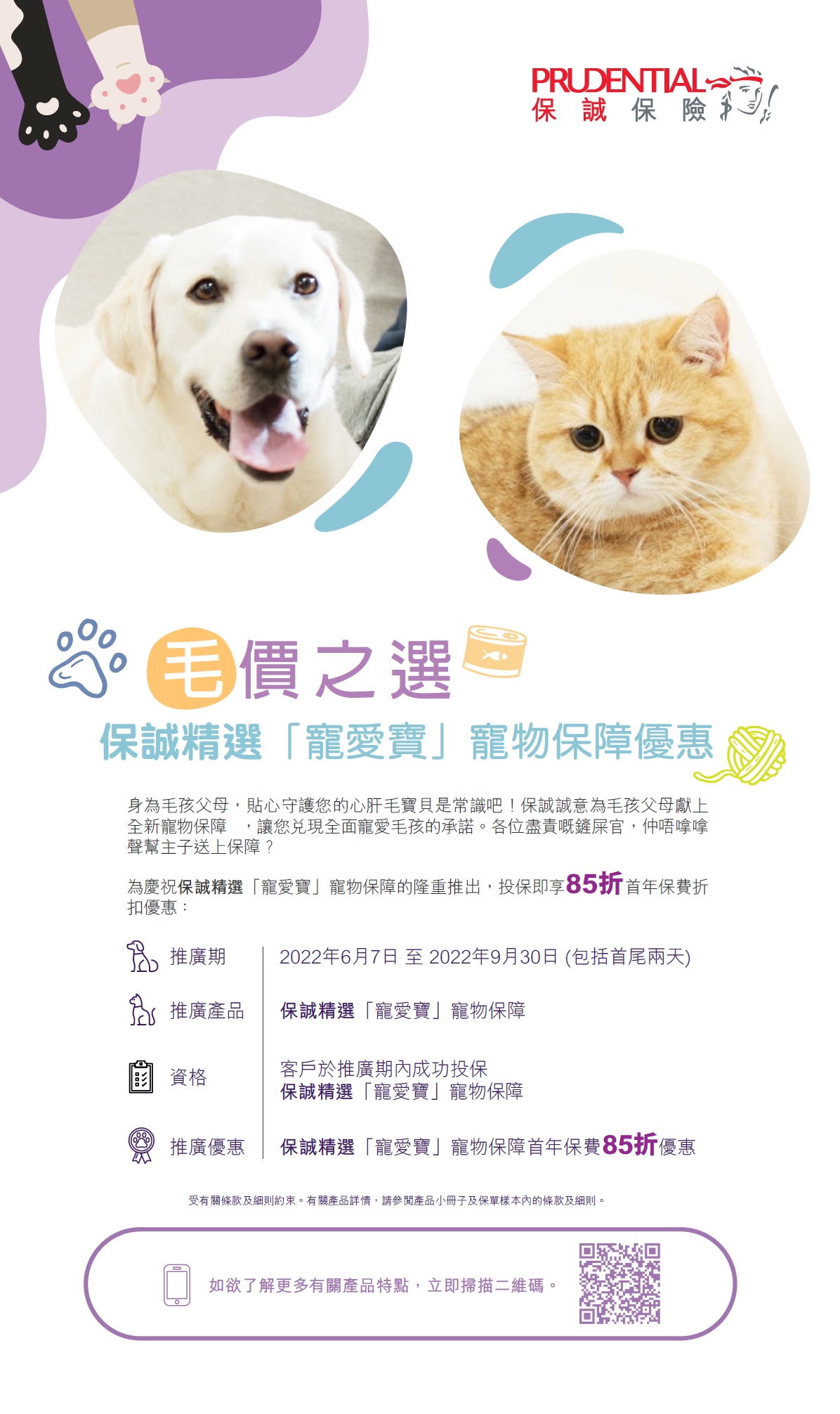 press-release-furkid