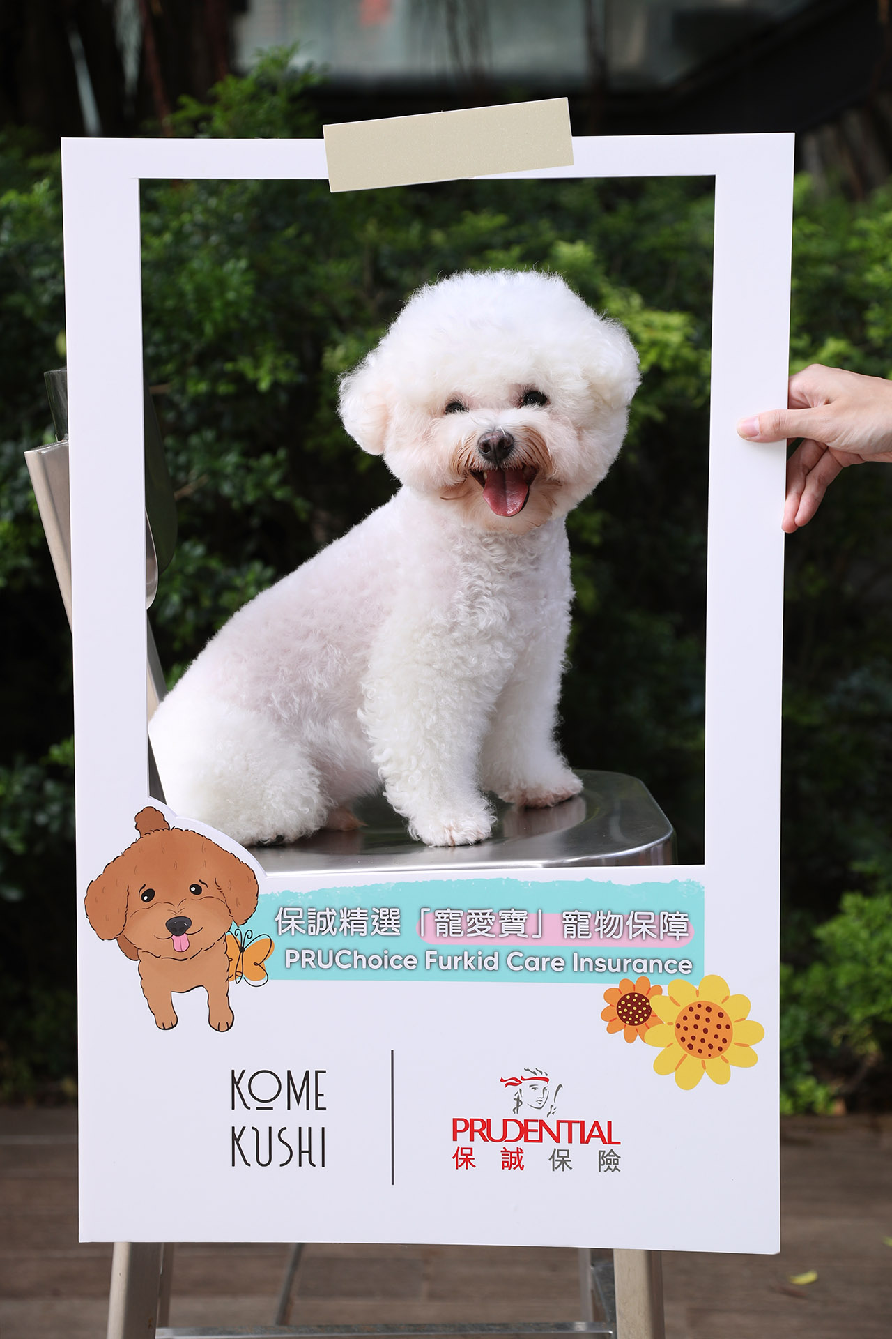 press-release-furkid