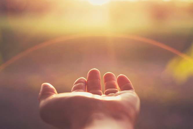 保誠分紅計劃表現