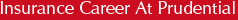 Insurance Career At Prudential
