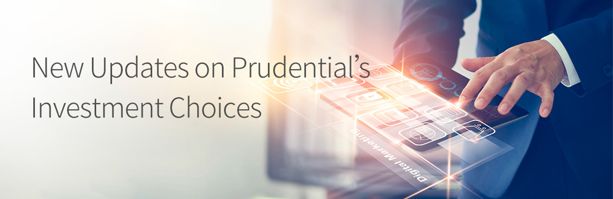 Risk Level Update of Prudential’s Investment Choices