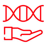Covers against disease conditions related to congenital diseases or developmental disorders