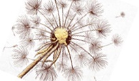 ULW_204x119