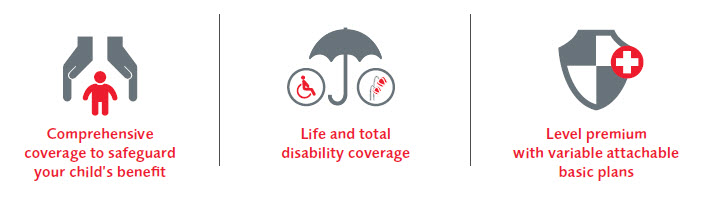 Payor-Benefit-at-a-glance_en